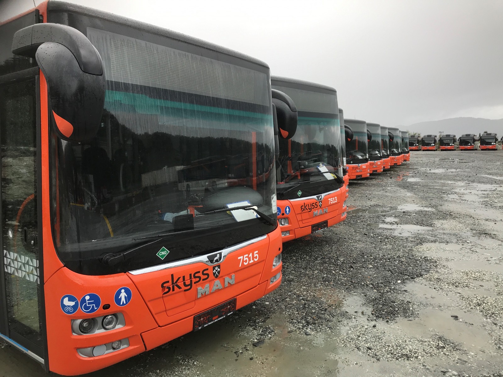 Man City Buses for bergen biogas drive systems