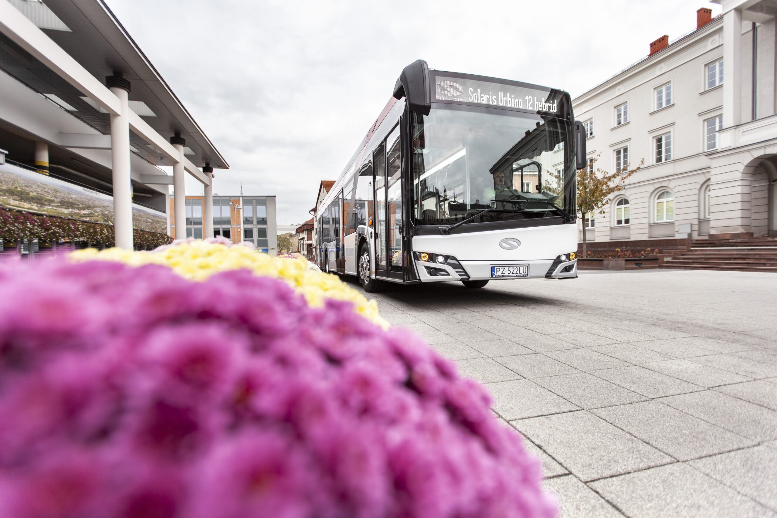 solaris romanian city hybrid buses reghin