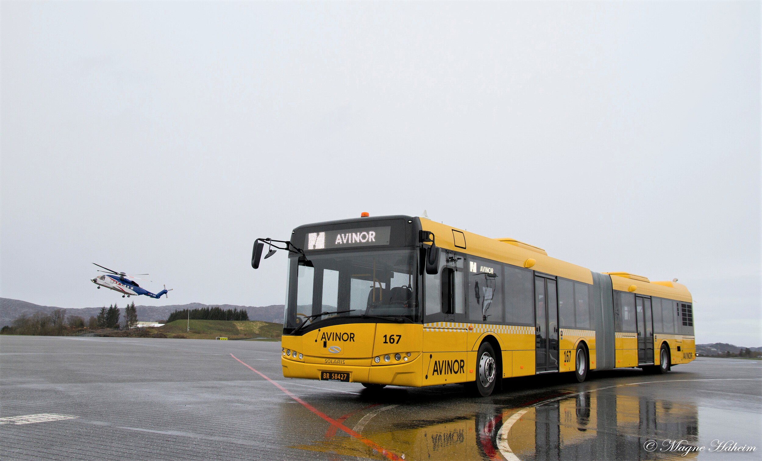 solaris bus arctic