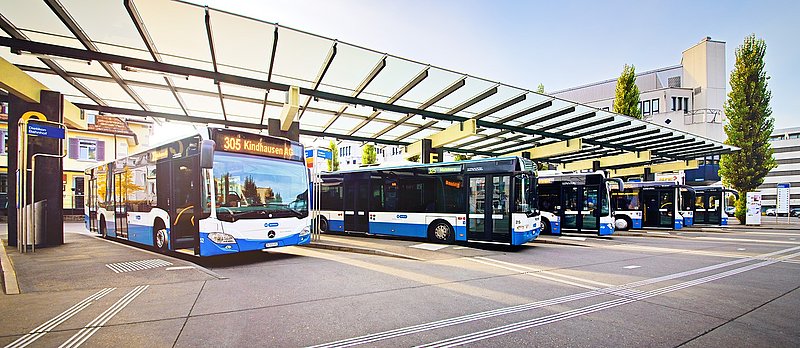 vbz psi depot management