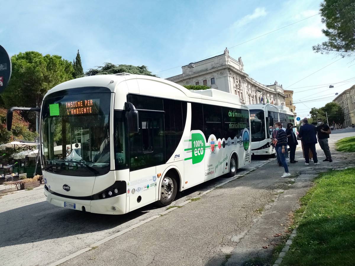 byd buses ancona