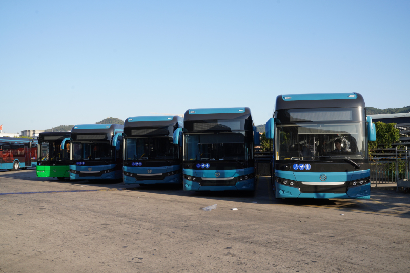 golden dragon buses bulgaria