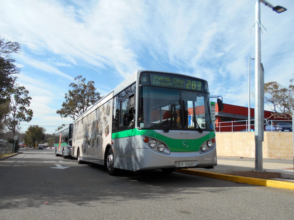 Perth Buses