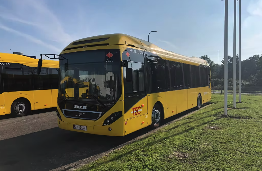 TEC Hybrid Buses