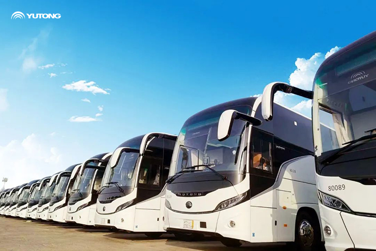 A line of white Yutong buses