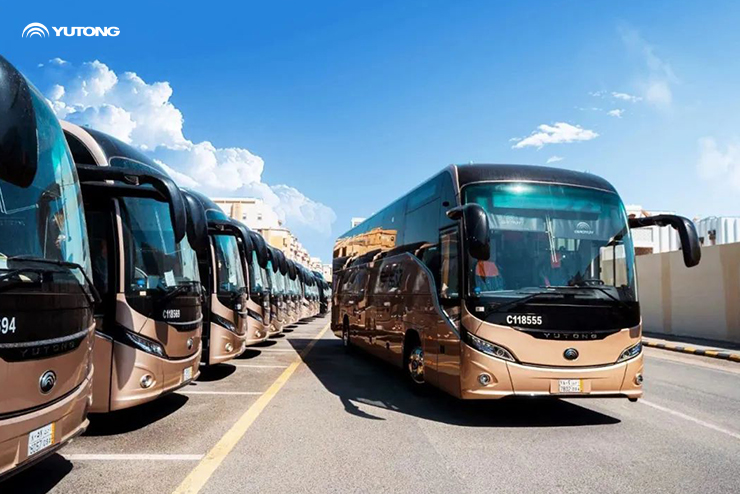 A line of bronze Yutong buses