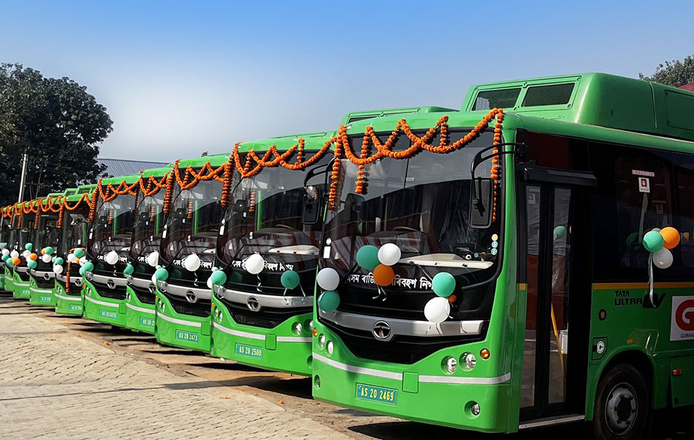 A lineup of green and black electric buses