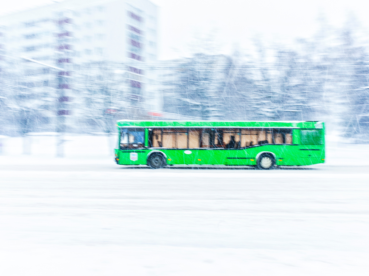 An image of a bus driving through a snowy forest landscape