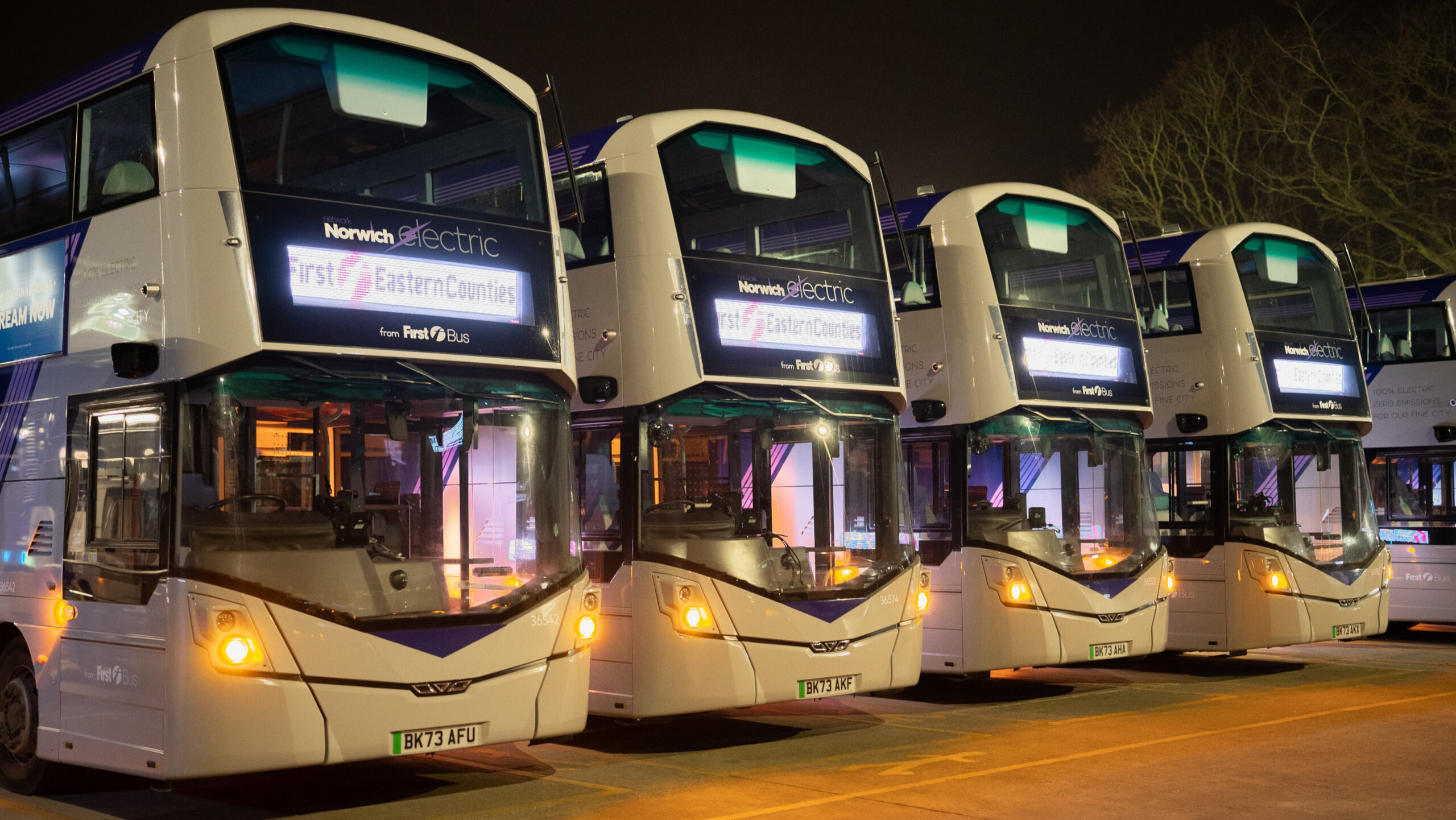 A row of buses at night