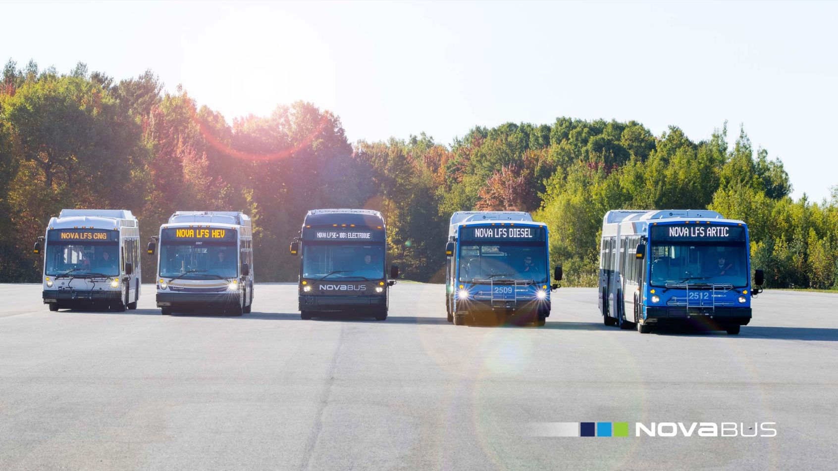 A lineup of buses