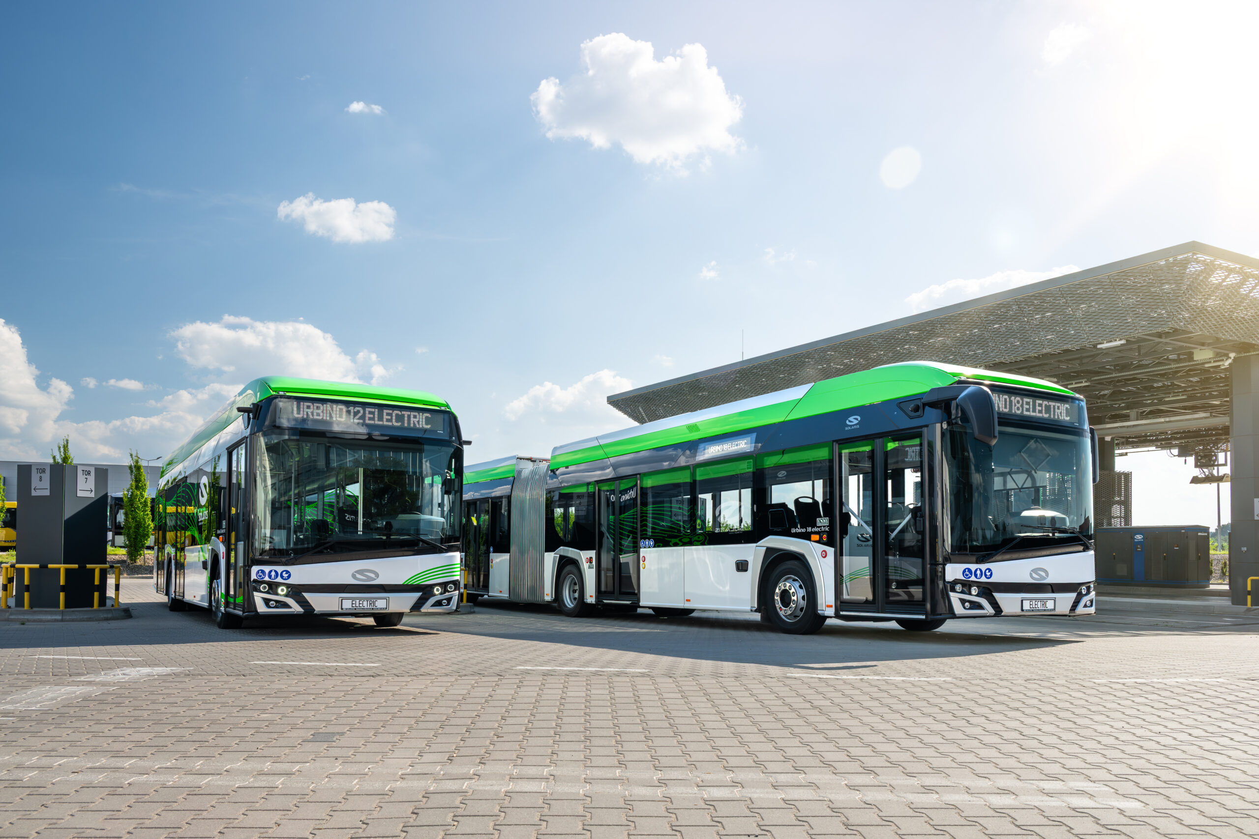 Two buses, green