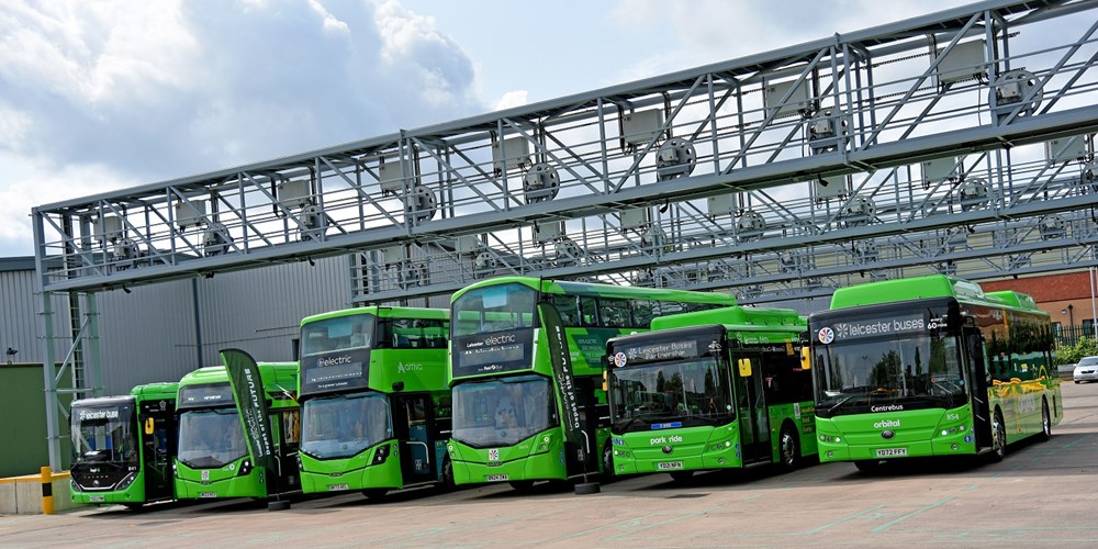 A lineup of green buses