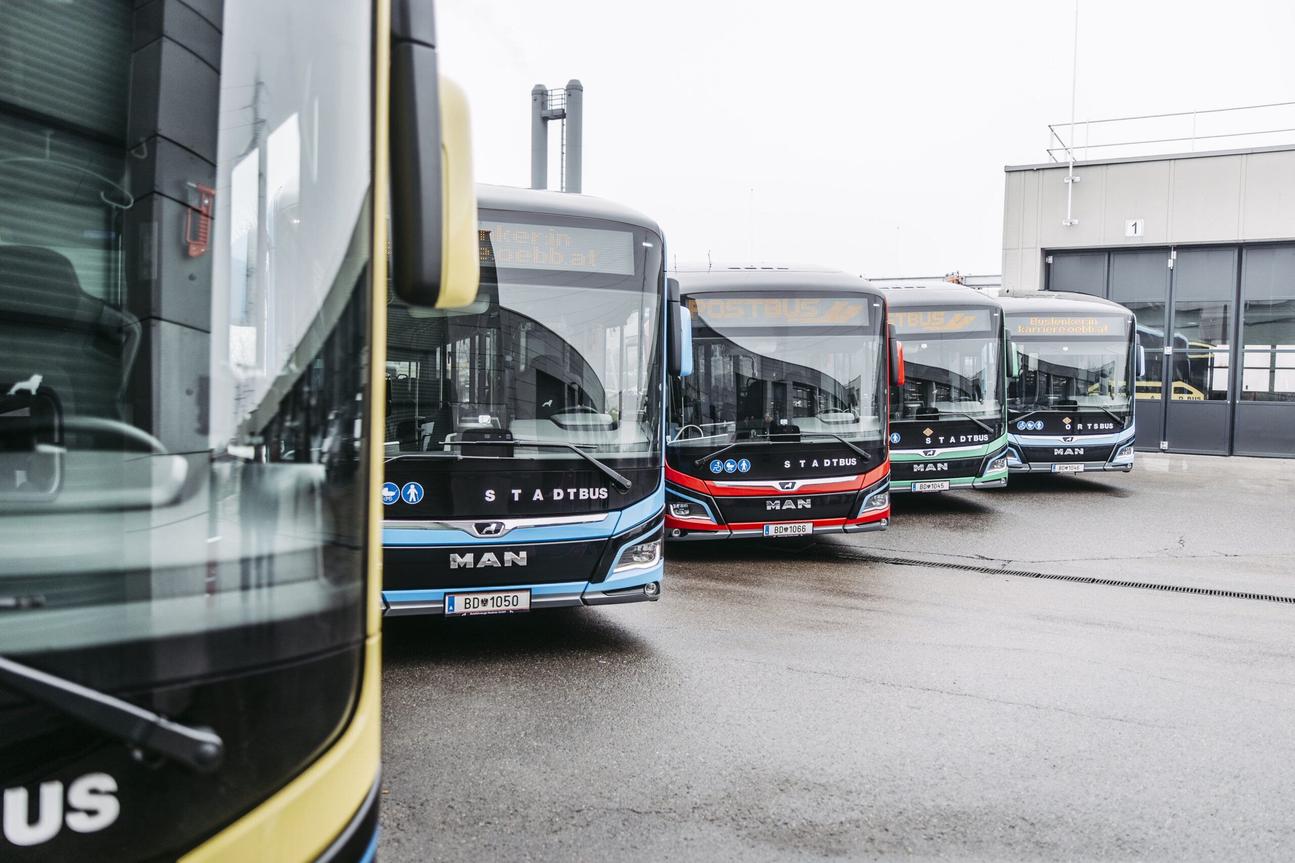 A line of buses