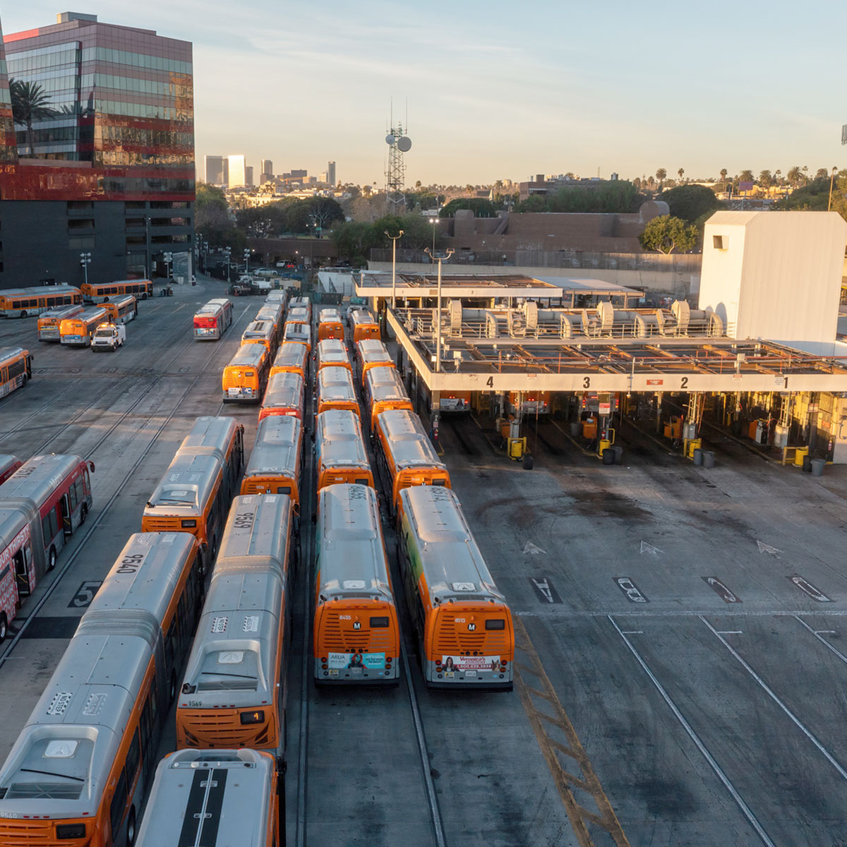 Bues in a line at a depot from above