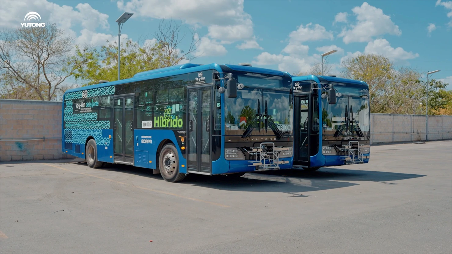 Two buses side by side