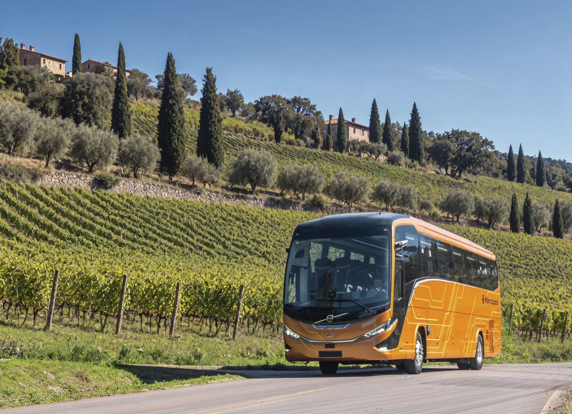 Volvo B13R Marcopolo Paradiso G8 coach on a road beside vineyards and olive groves